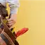 Handyman repair service in Anaheim, CA for home fixes and improvements